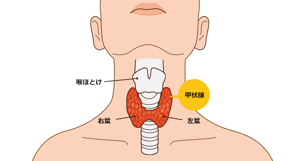 乳房嚢胞はどのように診断され、治療されますか?